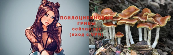 эйфоретик Баксан