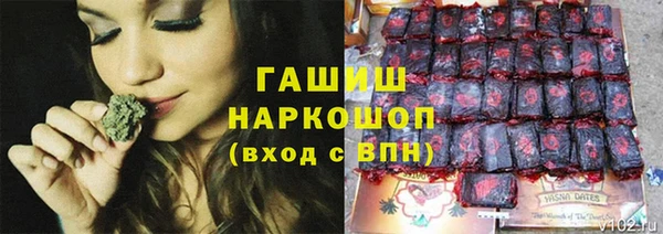 эйфоретик Баксан