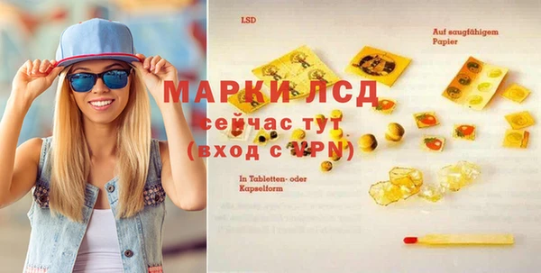 эйфоретик Баксан