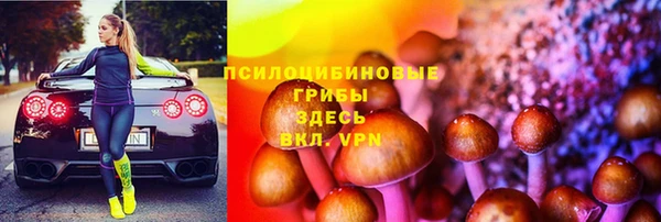 эйфоретик Баксан