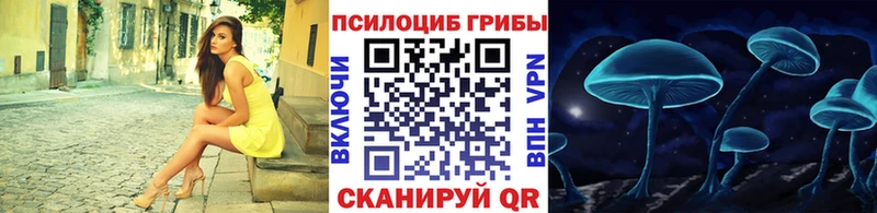 наркотики Пойковский Галлюциногенные грибы мицелий